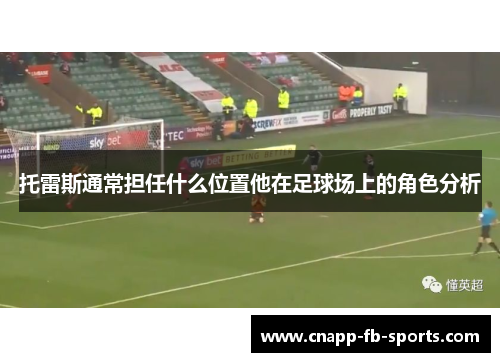 托雷斯通常担任什么位置他在足球场上的角色分析