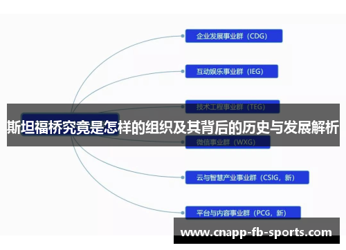 斯坦福桥究竟是怎样的组织及其背后的历史与发展解析