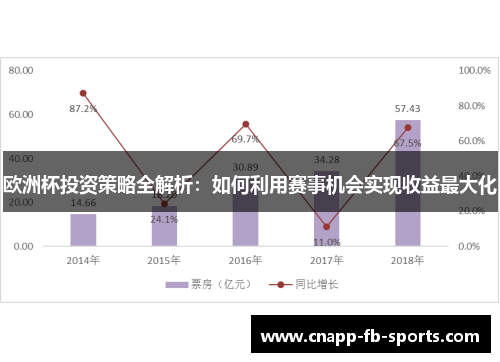 欧洲杯投资策略全解析:如何利用赛事机会实现收益最大化 欧洲杯投资策略全解析:如何利用赛事机会实现收益最大化