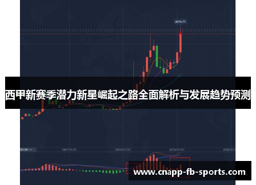 西甲新赛季潜力新星崛起之路全面解析与发展趋势预测