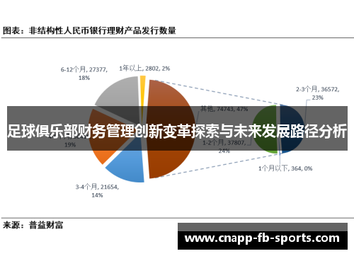 足球俱乐部财务管理创新变革探索与未来发展路径分析