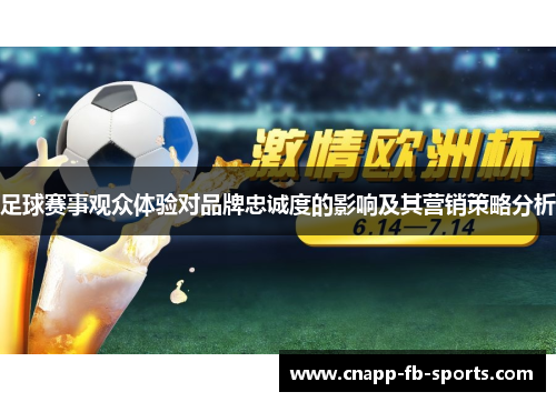 足球赛事观众体验对品牌忠诚度的影响及其营销策略分析